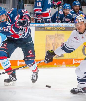 Adler Mannheim Stimmen RBM2