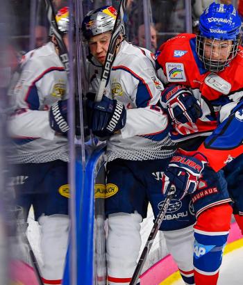 Adler Mannheim Stimmen RBM7