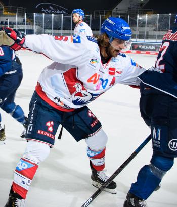 Adler Mannheim Stimmen RBM9