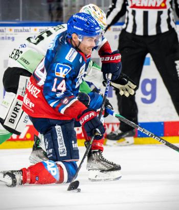Adler Mannheim Stimmen SCB5