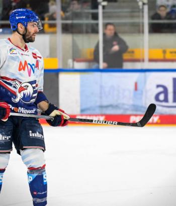 Adler Mannheim Stimmen SCB8