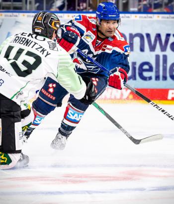 Adler Mannheim Stimmen SCB