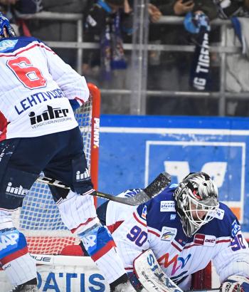 Adler Mannheim Stimmen STR VF2