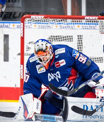 Adler Mannheim Stimmen STR10