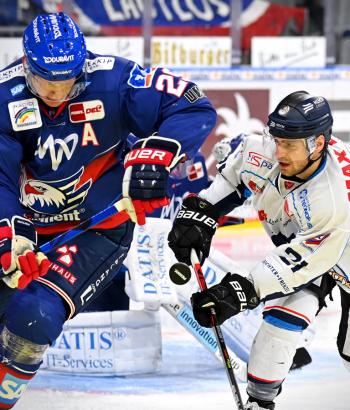 Adler Mannheim Stimmen STR13
