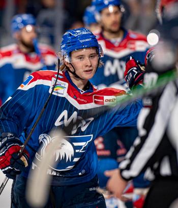 Adler Mannheim Stimmen STR14