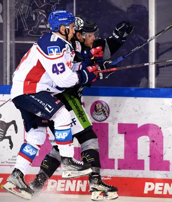 Adler Mannheim Stimmen STR15