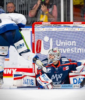 Adler Mannheim Stimmen STR19