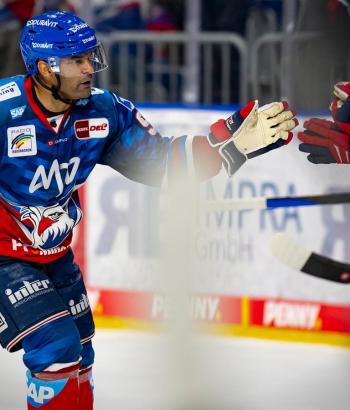 Adler Mannheim Stimmen STR20
