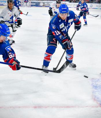 Adler Mannheim Stimmen STR4