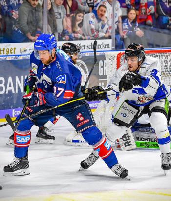 Adler Mannheim Stimmen STR5