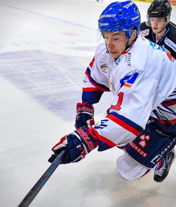 Adler Mannheim Stimmen STR7