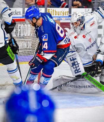 Adler Mannheim Stimmen STR8