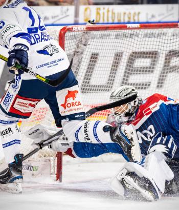 Adler Mannheim Stimmen SWW13