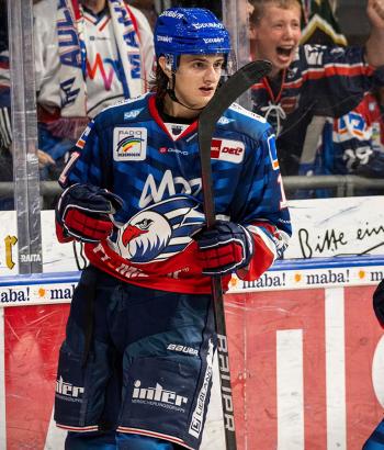Adler Mannheim Stimmen SWW14