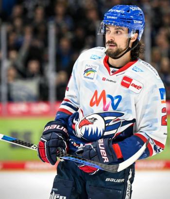 Adler Mannheim Stimmen SWW16