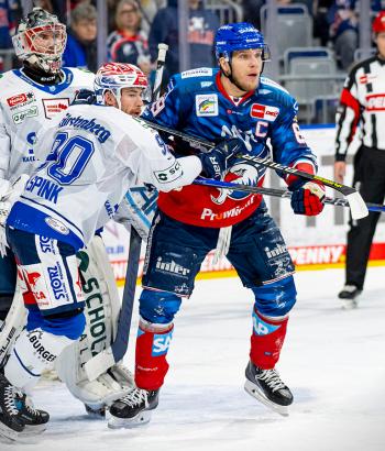 Adler Mannheim Stimmen SWW17