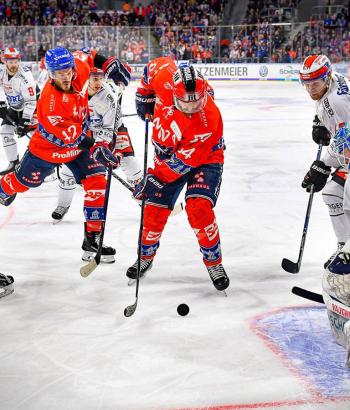 Adler Mannheim Stimmen SWW5