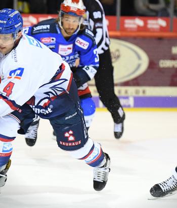 Adler Mannheim Stimmen SWW7