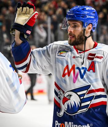 Adler Mannheim Stimmen VF10
