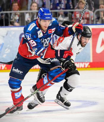 Adler Mannheim Stimmen VF2