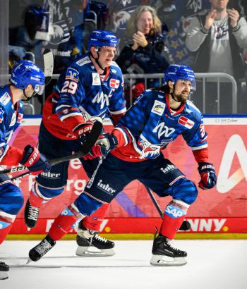 Adler Mannheim Stimmen VF9