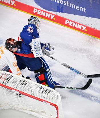 Adler Mannheim Stimmen WOB VF3