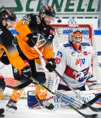 Adler Mannheim Stimmen WOB13