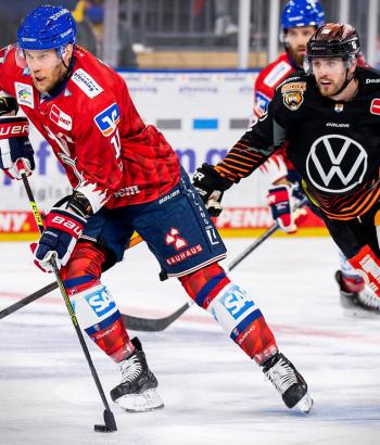 Adler Mannheim Stimmen WOB18