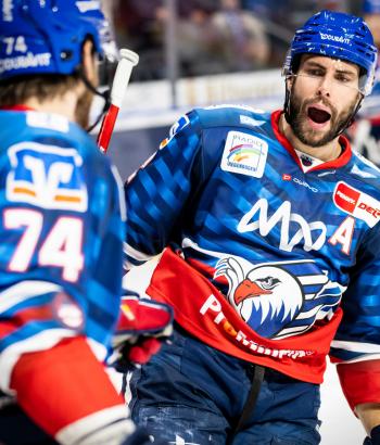 Adler Mannheim Stimmen WOB19