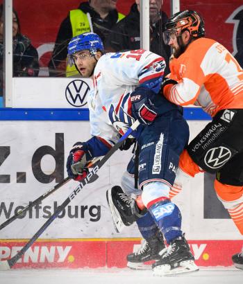 Adler Mannheim Stimmen WOB22