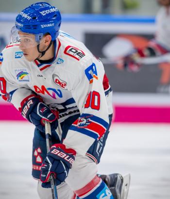 Adler Mannheim Stimmen WOB