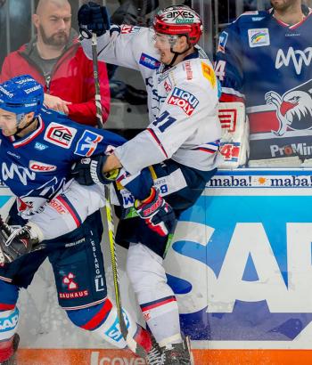 Adler Mannheim StimmenEBB