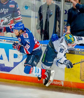 Adler Mannheim StimmenING2