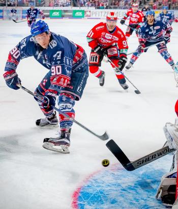 Adler Mannheim StimmenSWW