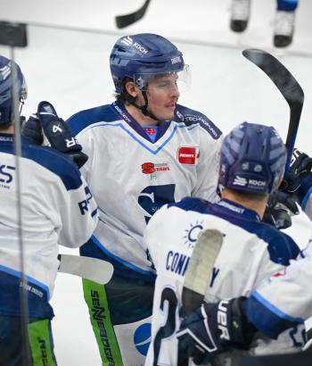 Adler Mannheim TC STR