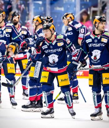 Adler Mannheim Teamchechk EBB