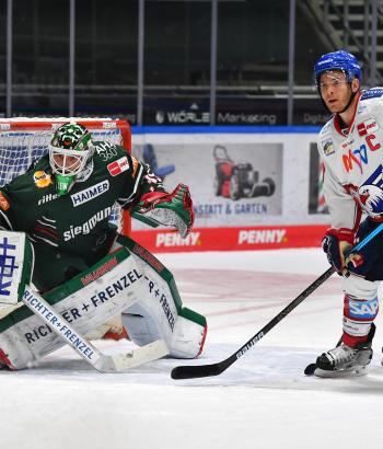 Adler Mannheim Teamcheck AEV2