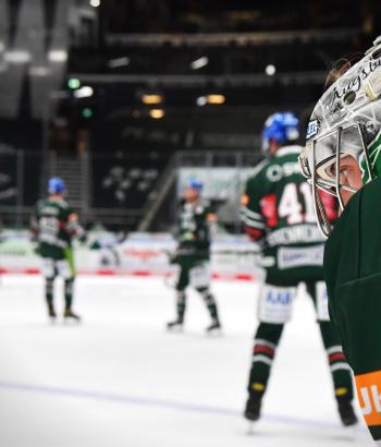 Adler Mannheim Teamcheck AEV