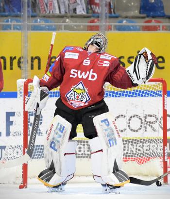 Adler Mannheim Teamcheck BHV3