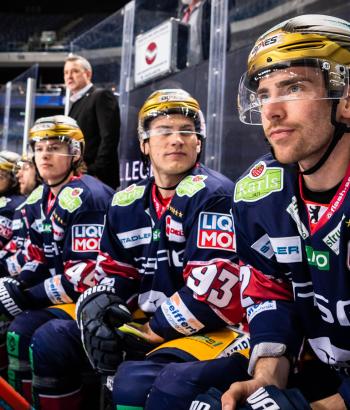 Adler Mannheim Teamcheck EBB2