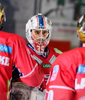 Adler Mannheim Teamcheck EBB