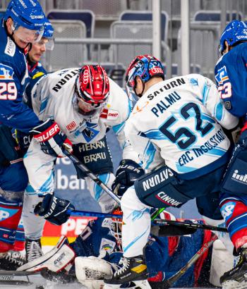 Adler Mannheim Teamcheck ERCI