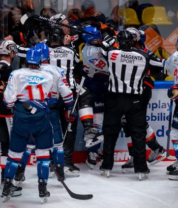 Adler Mannheim Teamcheck FRA