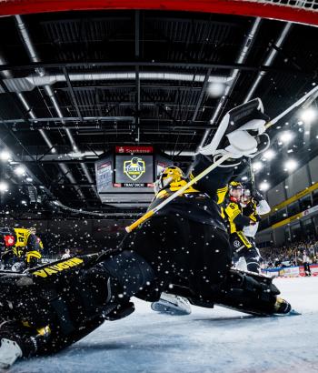 Adler Mannheim Teamcheck KEV
