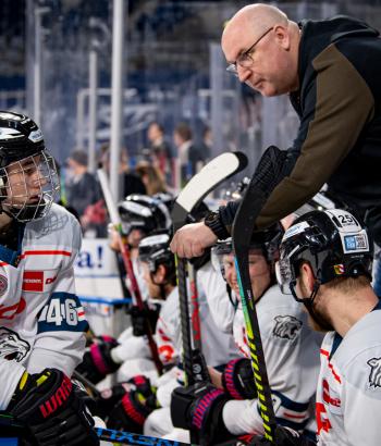 Adler Mannheim Teamcheck NIT2