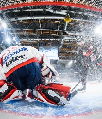 Adler Mannheim Teamcheck NIT3