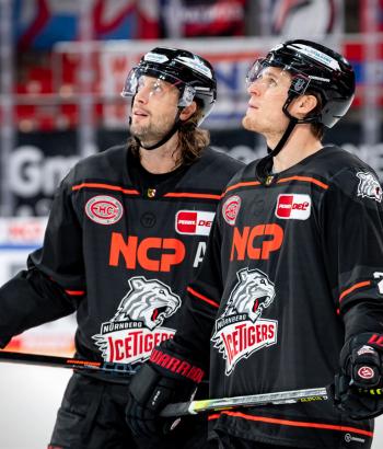 Adler Mannheim Teamcheck NIT