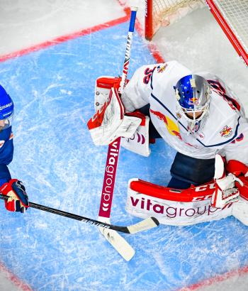 Adler Mannheim Teamcheck RBM2