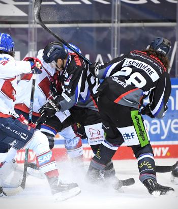 Adler Mannheim Teamcheck STR3